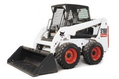 Bobcat